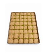 1 Tepsi Soğuk Baklava (48 Dilim Bitter)